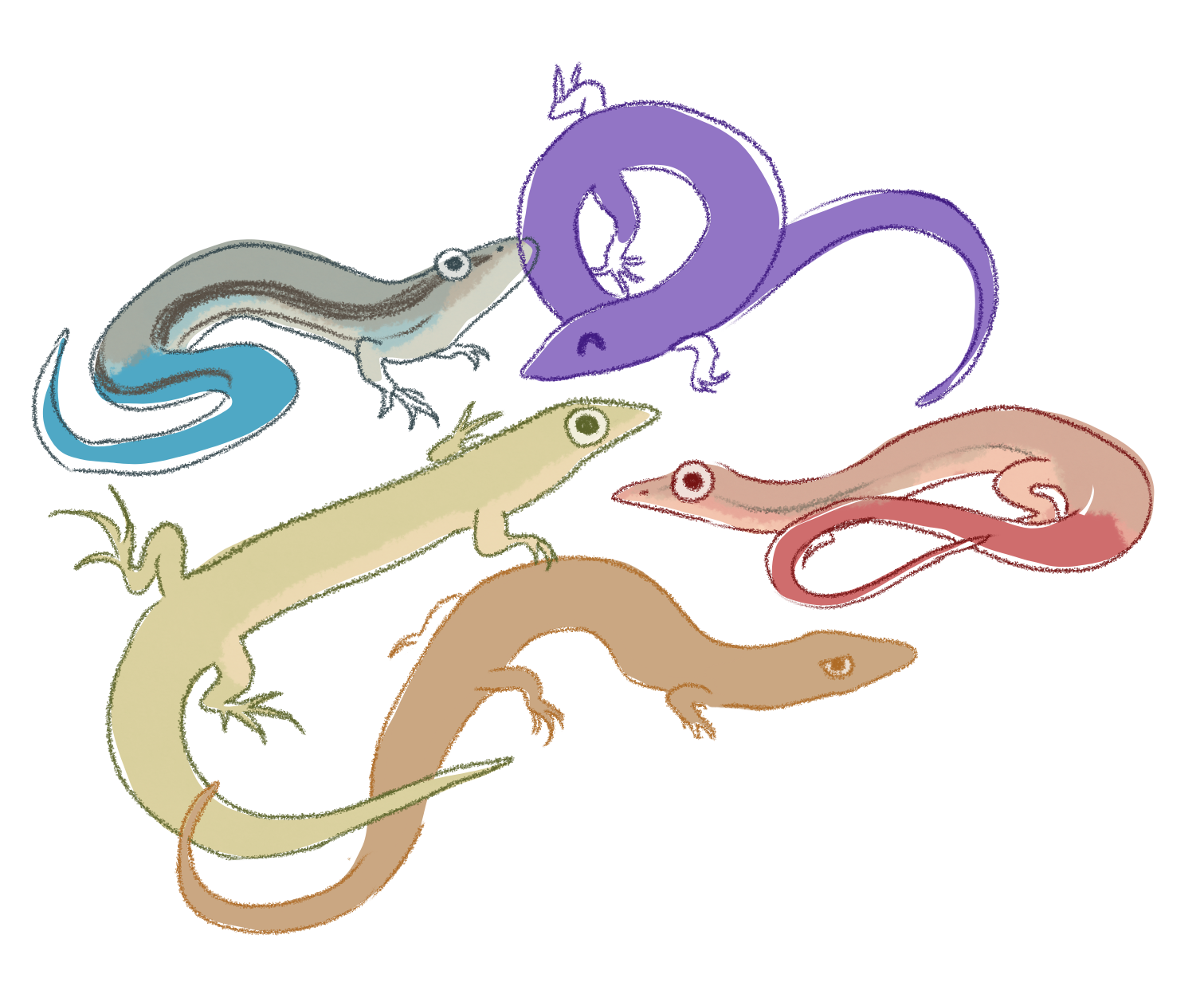 five cartoon lizards